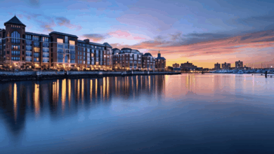 Homes For Sale: Types, Factors, Tips, & More